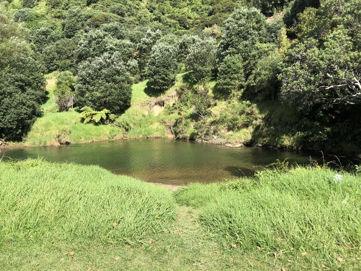 Te Mata Bay Seaviews Bed and Breakfast Tapu Buitenkant foto