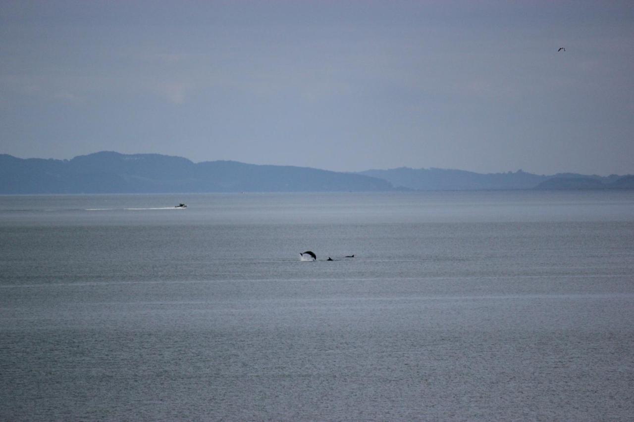 Te Mata Bay Seaviews Bed and Breakfast Tapu Buitenkant foto